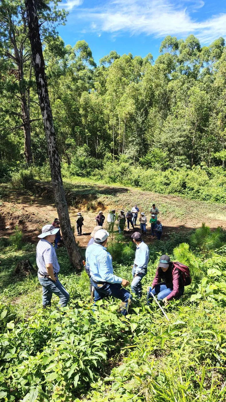 Imagen 2: Trabajo en campo del curso de Capacidad de Uso de la Tierra